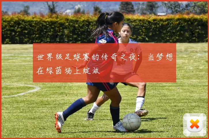 世界级足球赛的传奇之夜：当梦想在绿茵场上绽放