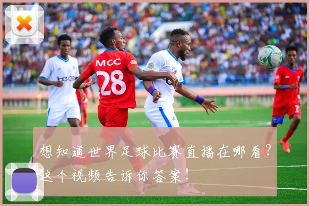 想知道世界足球比赛直播在哪看？这个视频告诉你答案！